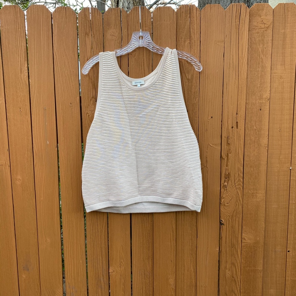 Ribbed top (Aritzia/Babaton)